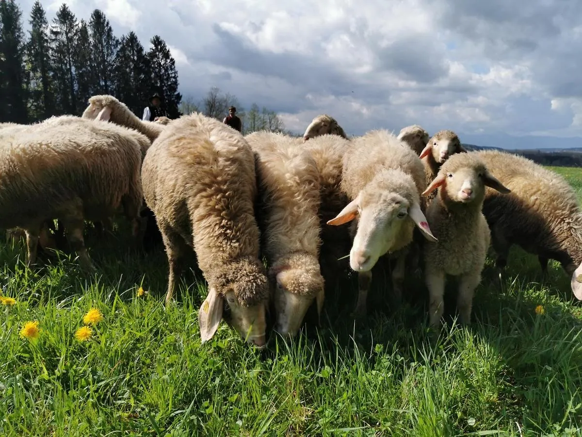 Der Blankhof 